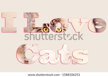 I Love Cats - text with image of a cat forming the letters, suitable for web, print, professional or personal use
