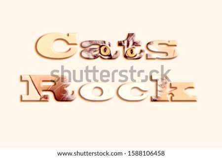 Cats Rock - text with image of a cat forming the letters, suitable for immediate web, print, professional or personal use