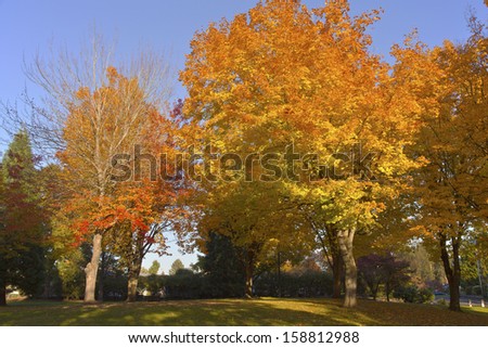 Public park in Autumn colors Gresham OR.