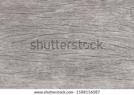 Gray wood color for texture and copy space in design background