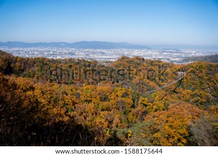 Suspension Bridge in Deciduous Forest of Hoshida Park during Autumn Foliage. Long Shot, Aerial View