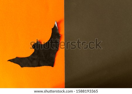Halloween image concept. Bat on orange background