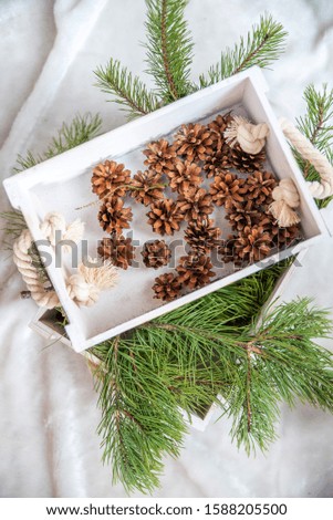 white wooden box with pine branches and cones