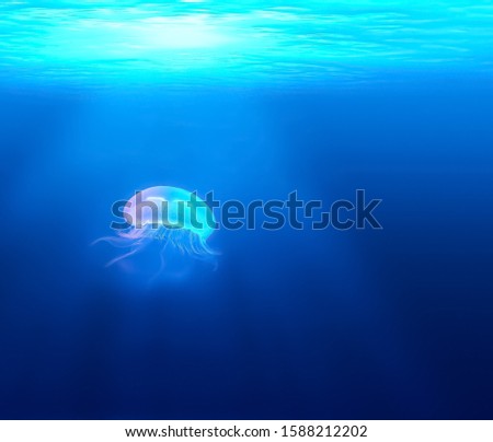 A photograph of a jellyfish swimming under a light-lit sea.