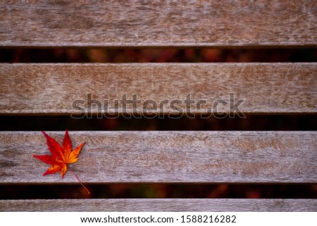 The natural texture of colorful maple fall leaves on brown wood or Momijigari in autumn at Japan. Light sunset of the sun with dramatic yellow and orange sky. Image depth of field.