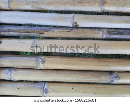 Bamboo picture fits as a background
