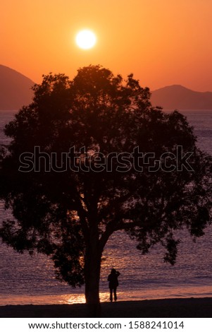 One big tree and a girl silhouette on sunset tropical beach