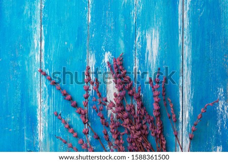 Twigs of Lavender Flowers on blue painted rustic wood background. Greeting card poster template for Easter Mother's Day Wedding