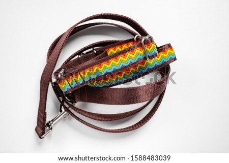 Colorful dog collar and leash from silky tape, one side is brown. Close up, white background, copy space.