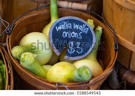 A closeup view of traditional wooden pales filled with walla walla onions, a variety of sweet onion, and a price tag during a local harvest fair