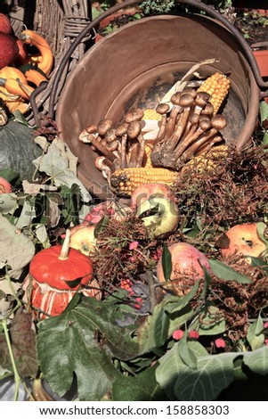 autumn composition made by seasonal fruits and vegetables