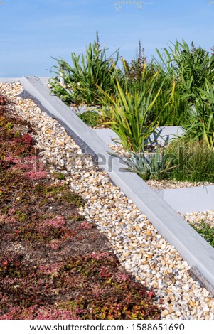 Root zone waste water sewage treatment plant on the extensive green ecological living sod roof 