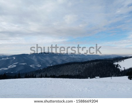 Beautiful winter landscape in Carpathians. Ukraine