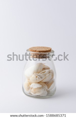 jar with shells on white background