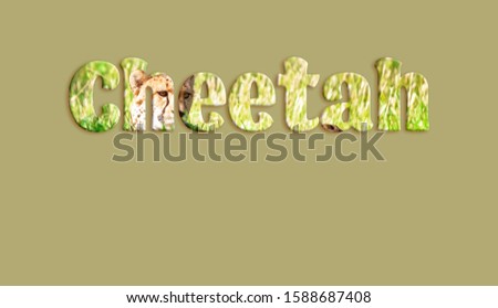 Cheetah - text with cheetah image forming the letters, suitable for immediate web, print, professional or personal use