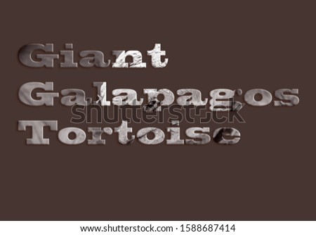 Giant Galapagos Tortoise - text with a tortoise image forming the letters, suitable for immediate web, print, professional or personal use