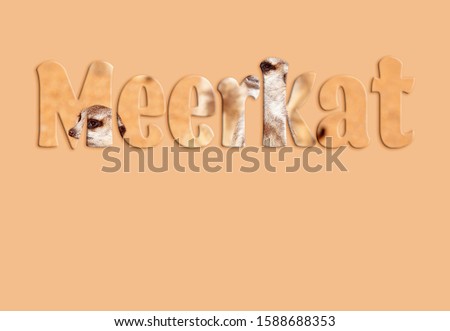 Meerkat - text with meerkat image forming the letters, suitable for immediate web, print, professional or personal use