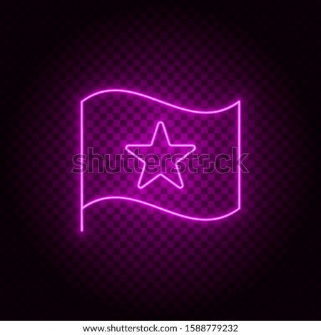 Flag, star vector icon. Element of simple icon for websites, web design, mobile app, info graphics. Pink color. Neon vector on dark background