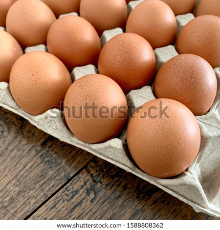 Fresh chicken eggs, Brown eggs /square picture