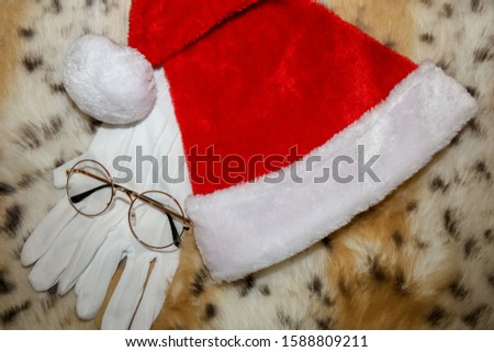 Santa's hat, eye glasses and gloves.
