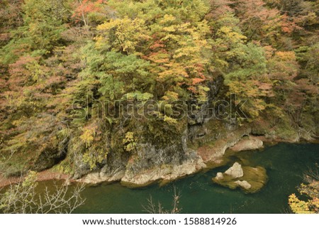 Maple mountains and river in Akita Japan