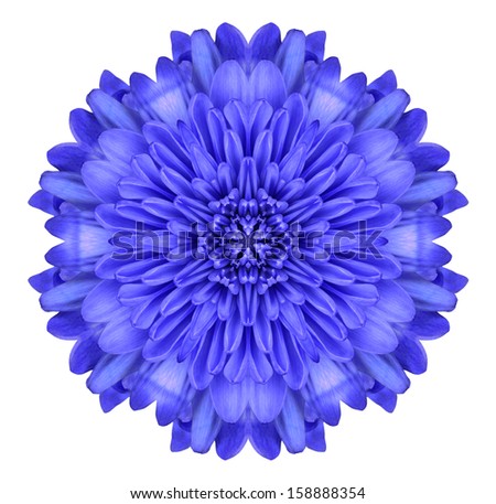 Blue Mandala Chrysanthemum Flower Kaleidoscope Isolated on White Background