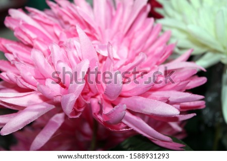 Abstract pink floral petals background. Artificial flower petals with selective focus.