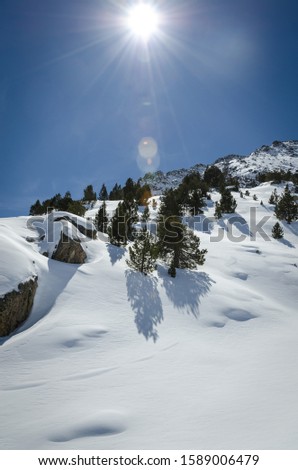 Winter nature landscape, amazing snow mountain view. Frosty day on ski resort.