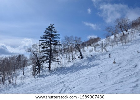 Beautiful scenery of Hokkaido, Japan where it snows in winter