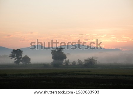 The pictures of mountains and skies and morning fog in winter in Thailand