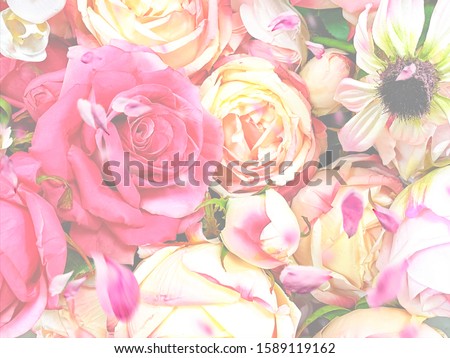 pink white red floral background design pink yellow living coral  roses bouquet banner art background card greetings