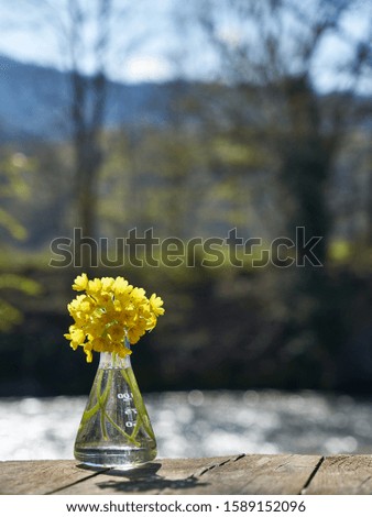 Glass bulb with yellow spring flowers.