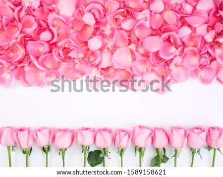 Romantic floral frame background. Valentines day background, pink roses on white background. For card design and wedding.