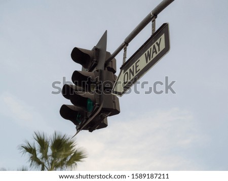 Close up of a one way sign with traffic light. California. United States of America.