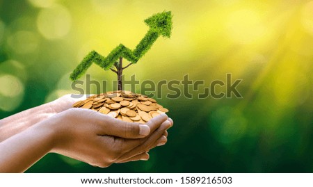 growth business. The tree grows into a shape, pointing up the concepts of financial business growth.