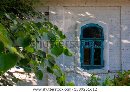 Window in a frame of blue color on a white wall of the house. The brick wall of the house is painted white. Green leaves of a tree on a background of a white wall of a house on a summer day.