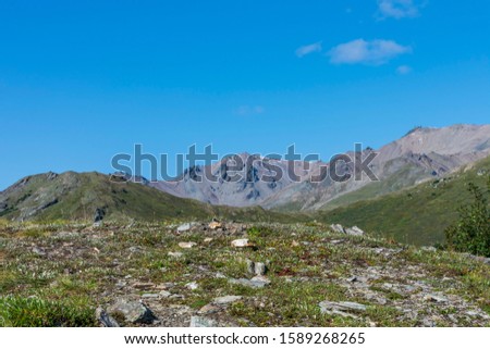 Mount Healy Alaska Landscape Photography, Denali National Park, Pacific North West Mountains