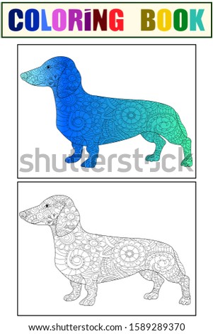 Dachshund color and coloring book for adults raster illustration. Anti-stress coloring for adult dog. Nature pet. Black and white lines symbol guard. Lace pattern friend.