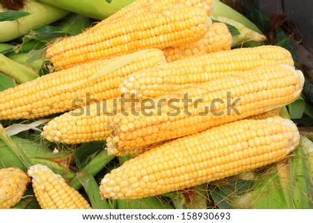 closeup of pictures, Fresh corn, Delicious food