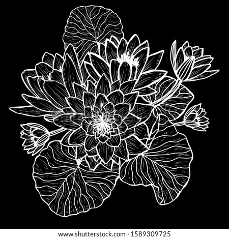 Decorative hand drawn lotus  flowers, design elements. Can be used for cards, invitations, banners, posters, print design. Floral background in line art style