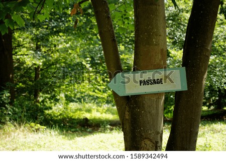 A sign passage on a tree on a summer background in the forest in villebon sur yvette near paris during a sunny morning 