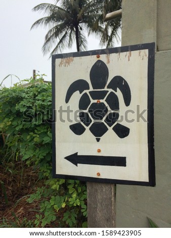 signpost for turtle watching - vertical photo
