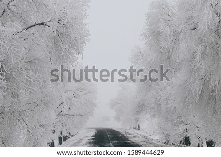 Beautiful landscapes with winter roads