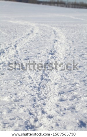 footprints of people and animals in the snow
