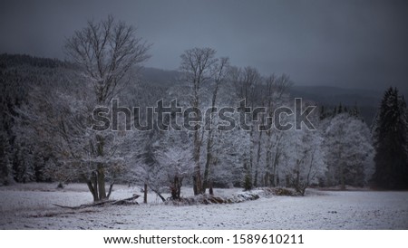 snowy mountain landscape -  Bohemian Forest