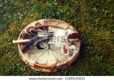 shamanic drum in nature, shamanic drum made of deer goat.
