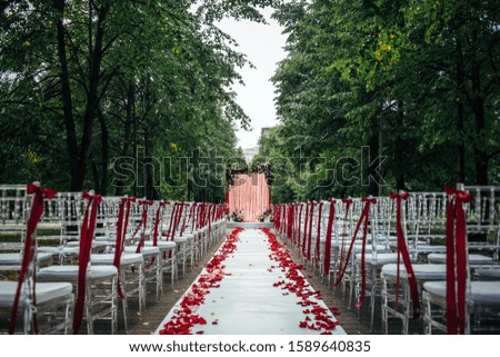 Passage between the chairs, decorated with rose petals leads to the wedding arch. Solemn wedding registration in the park among the green trees.