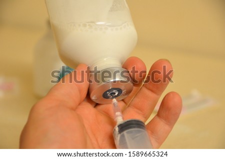 A hand holding a bottle of white antibiotic liquid and filling a syringe for a cow mastitis treatment. Animal medicine concept. Royalty-Free Stock Photo #1589665324