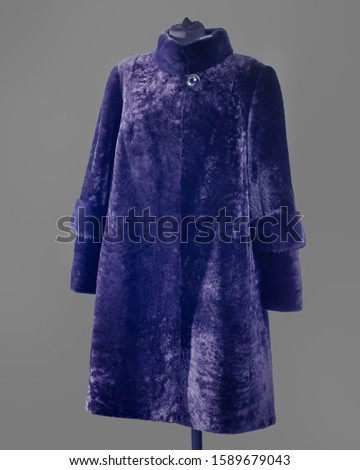 Dark purple Mouton fur coat with mink trim, mink stand collar. Fit-and-flare silhouette.