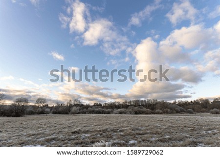 Winter landscape of wild frosty meadow early in the morning.  